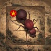 麻花视频安装手机版免费中文版